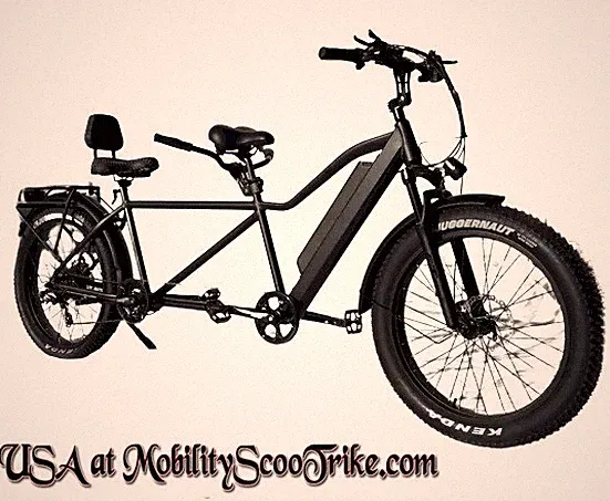 E-Tandem electric two-person 2-seater double power assist bicycle bike adult
