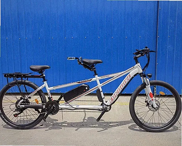 Electric 500W/48V Two Seater 26in Tire 21 Speed Tandem Bicycle