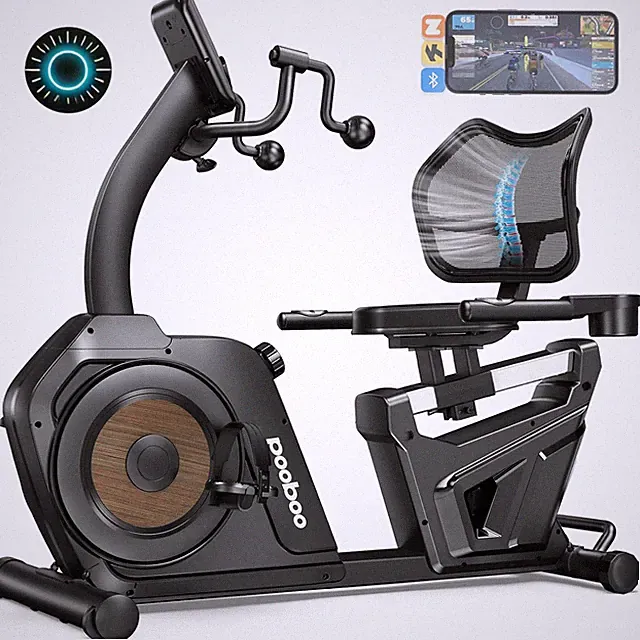 Recumbent Exercise Bike Stationary Bikes for Home with Arm Exerciser Magnetic Re